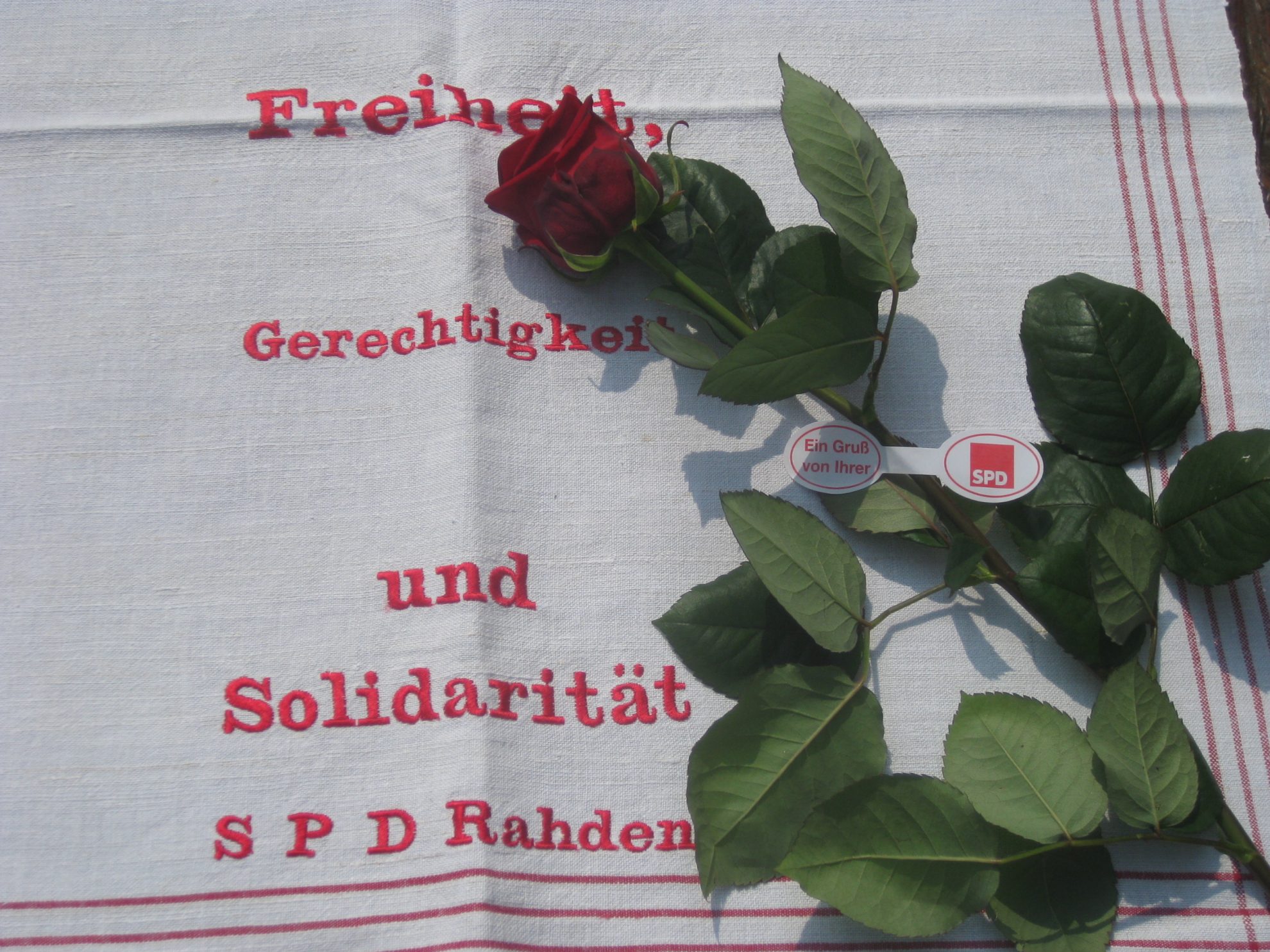 Rosenaktion zum Muttertag