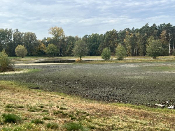 Ungewohntes Bild ohne Wasser