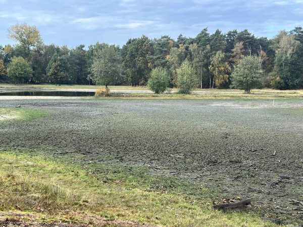 Teich ohne Wasser